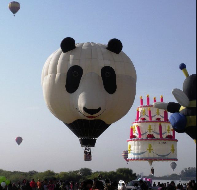 Party Panda Hot Air Balloon